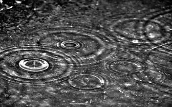 Rain drop
