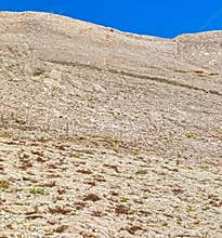 Stone boarders on the island Pag, Croatia