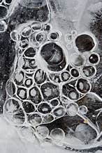 Frostbound bubbles like grapes