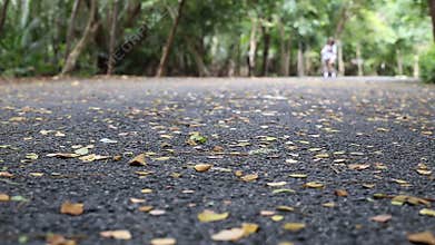 A young woman riding a bicycle on the beautiful autumn park road