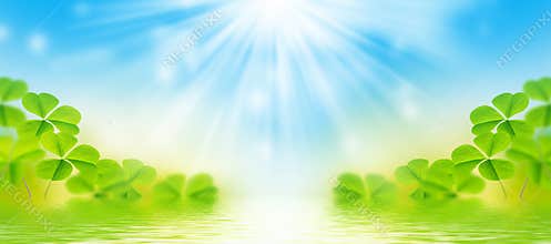 clover leaves on a background summer landscape. St.Patrick `s Day