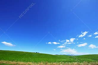 Blue Sky and Green Field