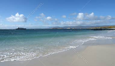 Beach on Carcass Island, Falkland Islands