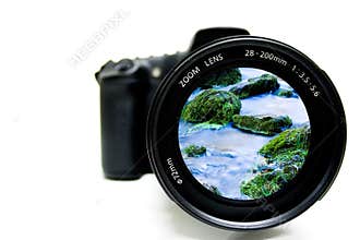 Nature Photography
