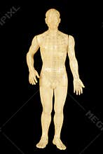 Acupuncture points