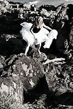 Rock climbing ballerina