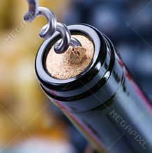 Wine bottle