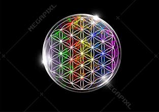Flower of life rainbow colors on black background
