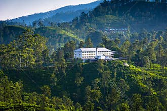 A tea factory in ella , Sri Lanka