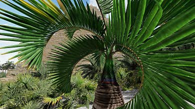 Pyramid at Sahara oasis 3d rendering