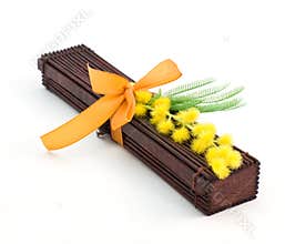 Japanese gift with mimosa