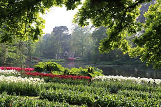 Pond in Keukenhof,  the Netherlands