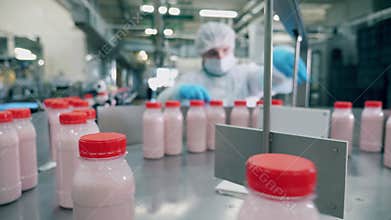 A woman takes bottles from conveyor at a dairy factory.