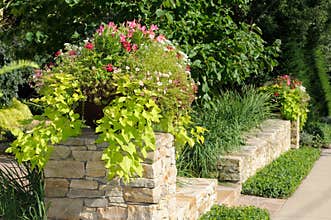 Planter on Stone Wall