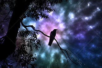 Cosmic Halloween Background and Black Bird
