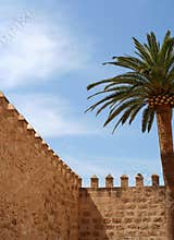Fortress Wall
