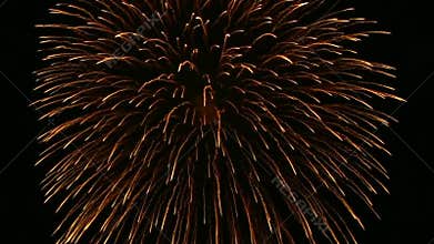 Fireworks party in the new year