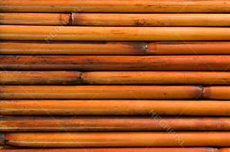 Bamboo background