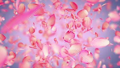 Pink Rose Petals exploding in 4K