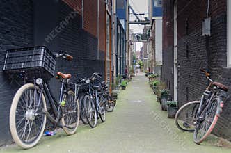 Bikes, Amsterdam, windmills, Holland