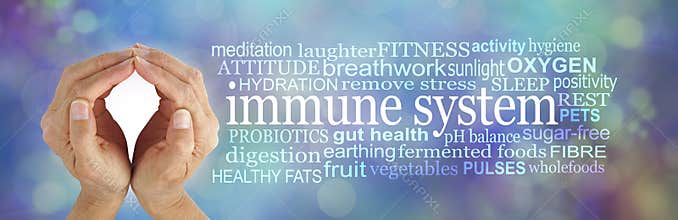 How to SHIELD and boost your Immune System Word Cloud