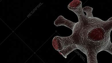 Footage Of Coronavirus Particle 