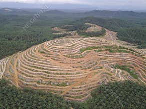 land clearing at oil palm estate