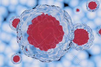 Stem cell background