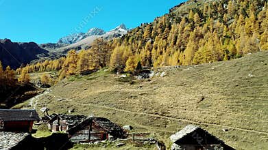 Hamlet of Le LouchÃ© at the foot of a larch forest in bright autumn colours, Switzerland