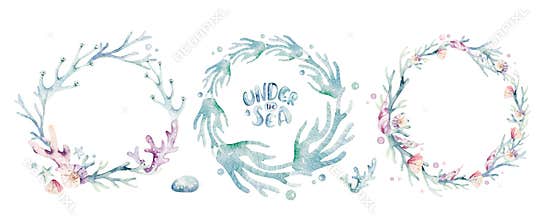 Set of sea animals. Blue watercolor ocean fish, turtle, whale and coral. Shell aquarium background. Nautical marine hand