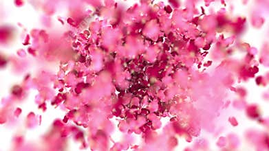 Heart of rose petals is blown away