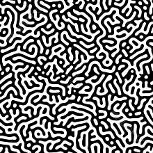 Monochrome reaction diffusion seamless pattern. Abstract background. Organic line art endless wallpaper. Black and white colors.