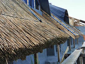 Traditional reed roof in danube delta