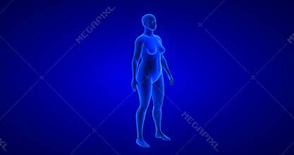 Weight loss - body transformation - woman theme. Blue Human Anatomy Body 3D Scan render