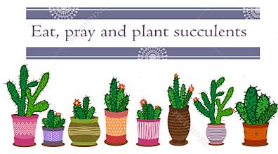 Cactus arrangements in a pot