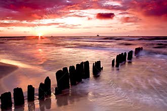 Love at seaside.
