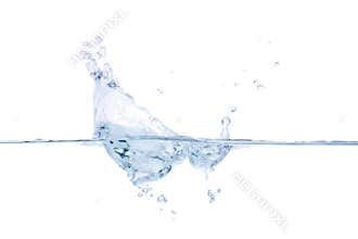 Splash