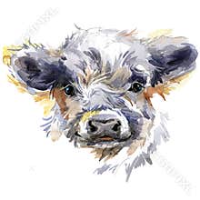 Cute watercolor calf. Baby bull illustration. cattle. farm animal.