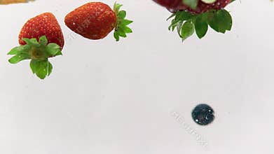 Colorful Fruit Salad Splashing