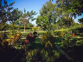 Warm Atmosphere Tropical Garden Landscape On A Sunny Day In A Long Dry Season