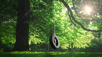Tree Swing In Summer