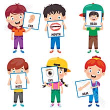 Funny Child Showing Human Body Parts