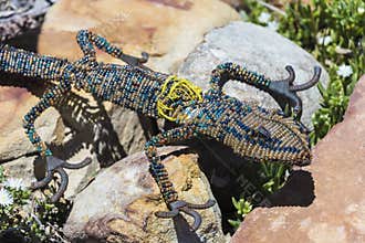 Decorative animals in the garden, flowerbed. Lizard, gecko, reptiles, amphibians