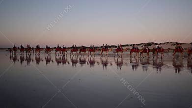Silhouette of tourists on camel ride convoy on Cable Beach Broome Western Australia