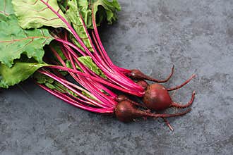 Young beetroot with fresh leaves