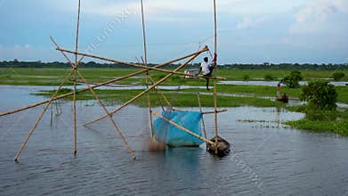 Fishermen are fishing in the bill or lake with big nets. Traditional village fishing in Bangladesh