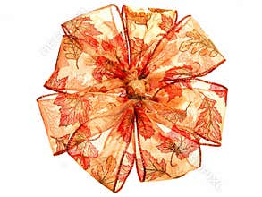 Translucent Fall Color Ribbon
