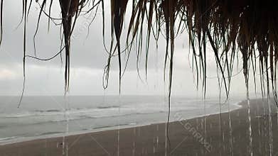 Water Drops Dripping From Thatched Roof On Ocean Beach.