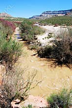 Virgin River Arizona