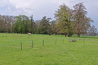 Ashdown House gardens - Oxfordshire - United Kingdom